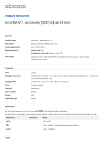 Anti-EAAT1 antibody [2G7c2] ab181661 Product datasheet