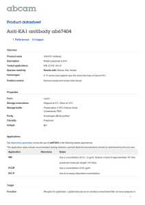 Anti-KA1 antibody ab67404 Product datasheet 1 References 4 Images