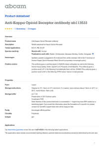 Anti-Kappa Opioid Receptor antibody ab113533 Product datasheet 1 Abreviews 3 Images