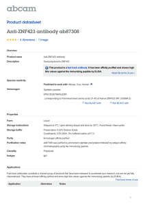 Anti-ZNF423 antibody ab87308 Product datasheet 4 Abreviews 1 Image