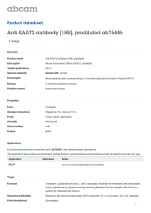 Anti-EAAT2 antibody [1H8], prediluted ab75445 Product datasheet 1 Image Overview