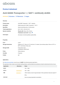 Anti-GABA Transporter 1 / GAT 1 antibody ab426 Product datasheet 3 Abreviews