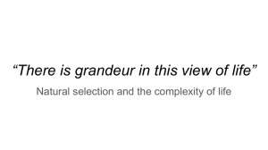 “There is grandeur in this view of life”