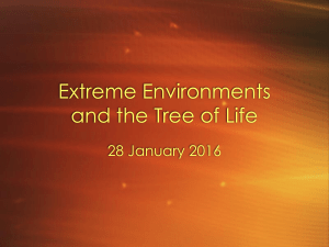 Extreme Environments and the Tree of Life 28 January 2016