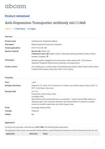 Anti-Dopamine Transporter antibody ab111468 Product datasheet 3 Abreviews 4 Images