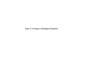 Topic 2: Energy in Biological Systems