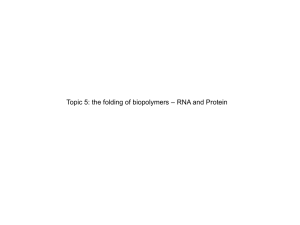 – RNA and Protein Topic 5: the folding of biopolymers