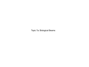 Topic 7a: Biological Beams
