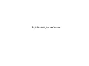 Topic 7b: Biological Membranes