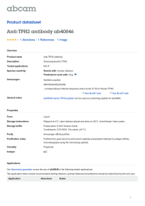 Anti-TPH2 antibody ab40846 Product datasheet 1 Abreviews 1 Image