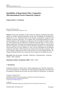 Instabilities of Hyperelastic Fiber Composites: Micromechanical Versus Numerical Analyses Stephan Rudykh