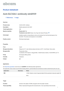 Anti-SLC32A1 antibody ab42939 Product datasheet 1 References 1 Image