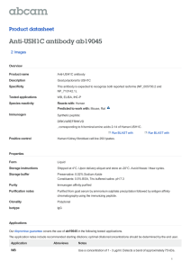 Anti-USH1C antibody ab19045 Product datasheet 2 Images Overview