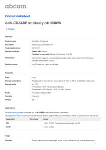 Anti-CRALBP antibody ab154898 Product datasheet 2 Images