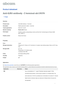 Anti-GJB3 antibody - C-terminal ab139378 Product datasheet 1 Image Overview