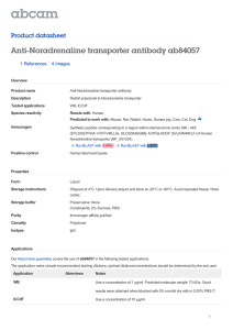 Anti-Noradrenaline transporter antibody ab84057 Product datasheet 1 References 4 Images