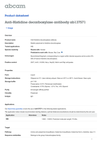 Anti-Histidine decarboxylase antibody ab137571 Product datasheet 1 Image