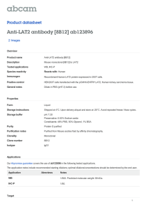 Anti-LAT2 antibody [8B12] ab123896 Product datasheet 2 Images Overview