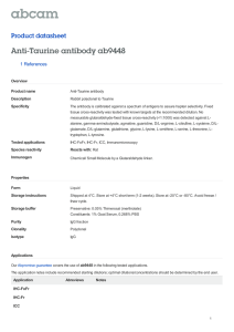 Anti-Taurine antibody ab9448 Product datasheet 1 References Overview
