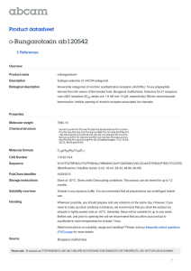 -Bungarotoxin ab120542 α Product datasheet 3 References
