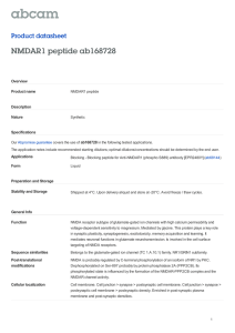 NMDAR1 peptide ab168728 Product datasheet Overview Product name