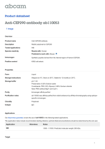 Anti-CEP290 antibody ab110053 Product datasheet 1 Image