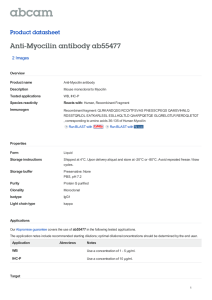 Anti-Myocilin antibody ab55477 Product datasheet 2 Images Overview