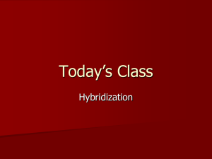 Today’s Class Hybridization