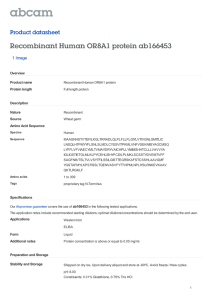 Recombinant Human OR8A1 protein ab166453 Product datasheet 1 Image Overview