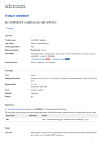 Anti-RGS21 antibody ab169365 Product datasheet 1 Image Overview