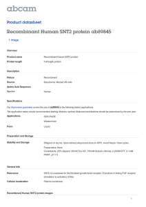Recombinant Human SNT2 protein ab89845 Product datasheet 1 Image Overview