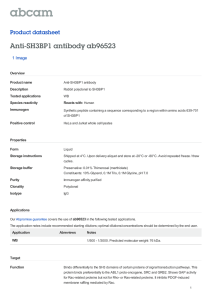 Anti-SH3BP1 antibody ab96523 Product datasheet 1 Image Overview