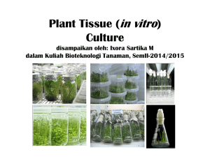in vitro Plant Tissue ( ) Culture