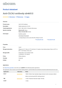 Anti-CLCA3 antibody ab46512 Product datasheet 2 Abreviews 3 Images