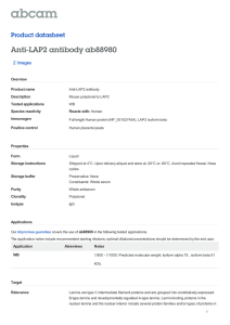Anti-LAP2 antibody ab88980 Product datasheet 2 Images Overview