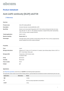 Anti-LAP2 antibody [RL29] ab2738 Product datasheet 2 References Overview
