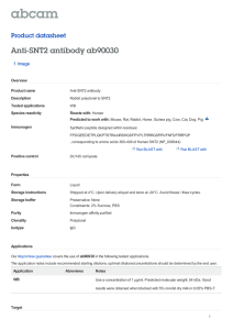 Anti-SNT2 antibody ab90030 Product datasheet 1 Image
