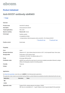 Anti-SOCS7 antibody ab80603 Product datasheet 1 Image Overview