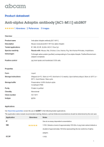 Anti-alpha Adaptin antibody [AC1-M11] ab2807 Product datasheet 1 Abreviews 5 Images
