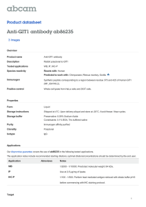Anti-GIT1 antibody ab86235 Product datasheet 3 Images