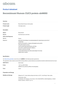 Recombinant Human CLIC2 protein ab88002 Product datasheet Overview Product name