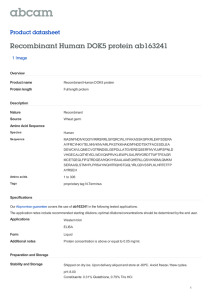 Recombinant Human DOK5 protein ab163241 Product datasheet 1 Image Overview
