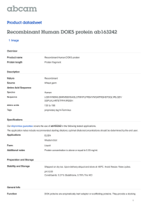 Recombinant Human DOK5 protein ab163242 Product datasheet 1 Image Overview