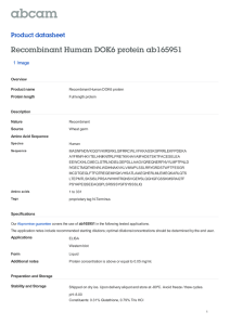Recombinant Human DOK6 protein ab165951 Product datasheet 1 Image Overview