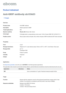 Anti-GRB7 antibody ab103623 Product datasheet 3 Images Overview
