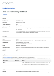Anti-IRS2 antibody ab84906 Product datasheet 2 Images Overview