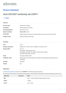 Anti-OR10G7 antibody ab130071 Product datasheet 2 Images Overview