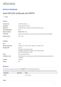 Anti-OR10J5 antibody ab129979 Product datasheet 1 Image Overview