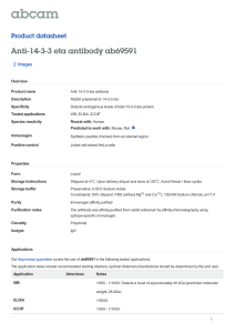 Anti-14-3-3 eta antibody ab69591 Product datasheet 2 Images Overview