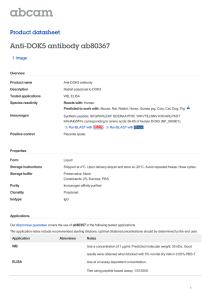 Anti-DOK5 antibody ab80367 Product datasheet 1 Image